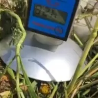 <p>L&amp;#039;hygromètre à sonde avec plateau mesure le taux d&amp;#039;humidité de l&amp;#039;herbe en quelques secondes.</p>