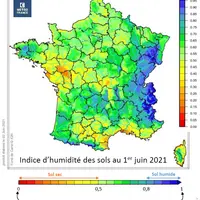 L'humidité des sols était contrastée début juin.