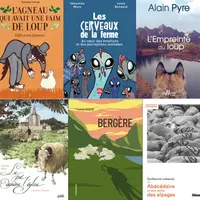 BD, roman, abécédaire ou livre pour enfant, des idée de cadeaux pour les éleveurs ovins.