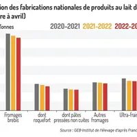 Les fabrications de produits au lait de brebis reculent