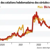 Un paysage encore gris pour le marché des matières premières