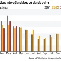 Les exports néo-zélandais de viande ovine se redressent début 2023