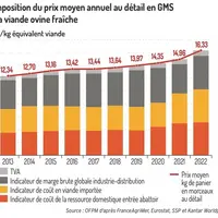 9,2 % de hausse pour la viande ovine en 2022