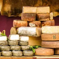 La collecte de lait de brebis est en phase de régression en Espagne avec une baisse de volume aux alentours de 6 %.