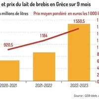 Baisse des exportations grecques de feta au premier semestre 2023