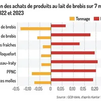 Baisse généralisée des achats de produits au lait de brebis par les ménages