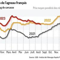 La baisse de consommation estivale a pesé sur le cours des agneaux français