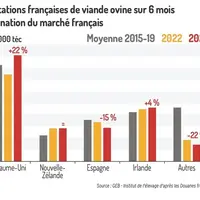 Avec l’Aïd el-Kebir, les importations de viande ovine ont bondi en juin