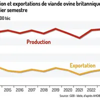 Les exports britanniques de viande ovine se remettent très bien du Brexit.