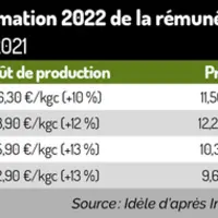 Quatre leviers pour s’adapter à la flambée des prix des matières premières en ovin allaitant