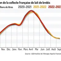 Une collecte de lait de brebis bio quasi stable