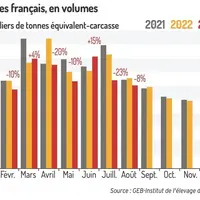 Les abattages français d’ovins poursuivent leur repli