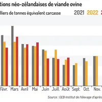 Les exports néo-zélandais de viande ovine reculent légèrement comparé à 2022