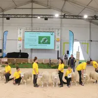 Les présentations des races ovines et les concours régionaux ou nationaux sont toujours très suivis durant les quatre jours de salon.