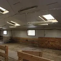 Les deux races sont désaisonnées, avec un agnelage par an en Mouton vendéen et trois agnelages en deux ans en Charmoise.