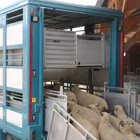 Le transport d'animaux vivants fait partie des préoccupations principales des Français en ce qui concerne le bien-être des animaux d'élevage.