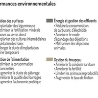 Des leviers pour réduire l’empreinte carbone en élevage ovin