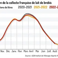 La collecte de lait de brebis 2022-2023 se maintient au niveau de la précédente campagne