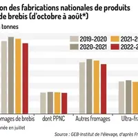 Les fabrications de fromages de brebis se replient