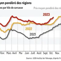 L’offre en agneaux français, toujours modeste, soutient la cotation