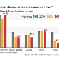 Les importations françaises de viande ovine poursuivent leur repli