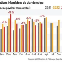 Les exports irlandais de viande ovine reculent légèrement comparés à 2022