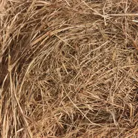 Les mauvaises récoltes de ces dernières années combinées aux nouveaux débouchés commerciaux de la paille font augmenter son prix et diminuer sa dispon