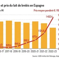 Espagne : la collecte de lait de brebis recule encore en 2023