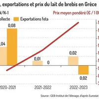 La collecte et le prix du lait de brebis progressent toujours en Grèce