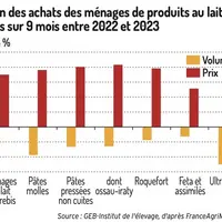 Achats français de produits au lait de brebis en recul en 2023