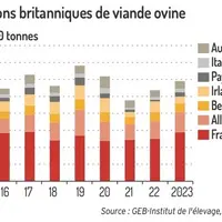 Les exports britanniques de viande ovine progressent
