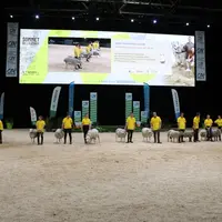 La quasi-totalité des races ovines allaitantes, représentées par leurs organismes de sélection, sont membres d'Agora pour avancer conjointement sur le