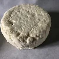 Après démoulage et égouttage, les fromages à base de caillé de brebis broyé avant moulage présentent une structure homogène satisfaisante mais une tex