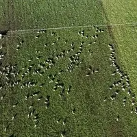 Au-delà de l'aspect technique, le drone est aussi un bon moyen de prendre de jolies photos de son territoire ou de son troupeau.