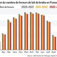 Graphique : Évolution du nombre de livreurs de lait de brebis en France ©GEB-Institut de l'élevage, d'après FranceAgriMer