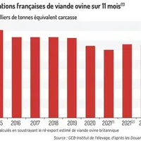 Graphique : Importations françaises de viande ovine sur onze mois(1) - (1) Volumes cumulés en soustrayant le ré-export estimé de viande ovine britanni