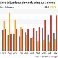 Graphique : Importations britanniques de viande ovine australienne ©GEB-Institut de l’élevage, d’après HMRC