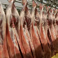 Carcasses d'agneaux à l'abattoir.