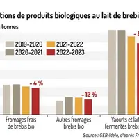 Nouveau repli des fabrications de produits au lait de brebis bio