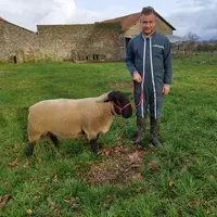 Baptiste Soulat, 27 ans, s'est installé en Haute-Vienne sur l'exploitation paternelle. Passionné par la génétique, il est devenu sélectionneur en Suff