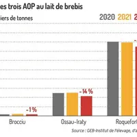 Graphique : Ventes des trois AOP au lait de brebis ©GEB-Institut de l'élevage, d'après le Cnaol