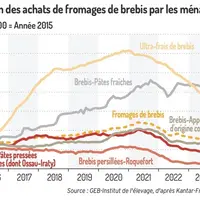 Graphique : Évolution des achats de fromages de brebis par les ménages ©GEB-Institut de l'élevage, d'après Kantar-FranceAgriMer