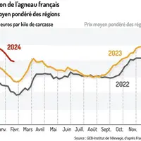 Graphique : Cotation de l’agneau français (prix moyen pondéré des régions) ©GEB-Institut de l’élevage, d’après FranceAgriMer