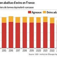 Graphique : Production abattue d’ovins en France ©GEB-Institut de l’élevage, d’après Eurostat