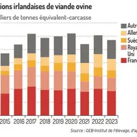 Graphique : Exportations irlandaises de viande ovine ©GEB-Institut de l’élevage, d’après Eurostat