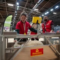 Les Ovinpiades 2024 ont réuni 42 candidats venus de la France entière sur le grand ring du Salon de l'agriculture, le 24 février.