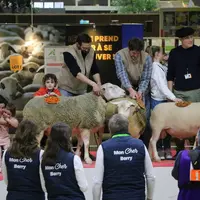 Le ring ovin a accueilli 13 concours de races, ainsi que le trophée laine.