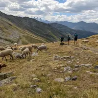 Dans les montagnes françaises, il n'est pas rare d'évoluer dans des zones blanches, sans aucun réseau téléphonique.