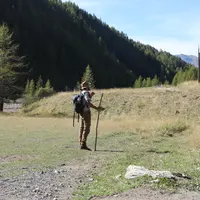 Berger en alpages