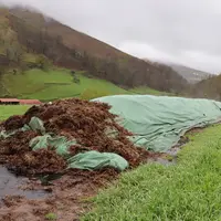 Fumier composté pour fertiliser les prairies.